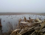 duck hunting club