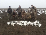 spring snow goose hunting