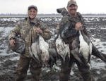 Missouri snow geese