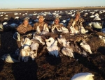 guided missouri snow goose hunts