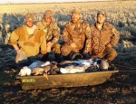 spring snow goose hunting