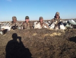 Missouri snow goose hunting