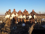 Missouri snow goose hunting