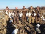 Missouri snow goose hunting