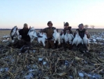 spring snow goose hunting