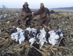 guided snow goose hunts