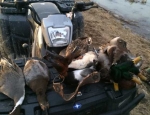 duck hunting