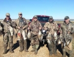 guided goose hunting