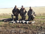 Guided goose hunts