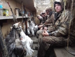 guided Missouri goose hunting