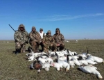 spring snow goose hunt