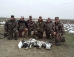 Missouri snow goose hunting