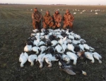 snow goose hunt