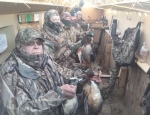 Guided Missouri duck hunting
