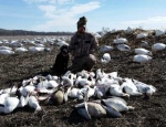 snow goose hunting