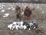 Snow Goose Hunting