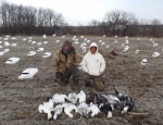 Snow Goose hunting