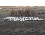 Missouri snow goose hunts