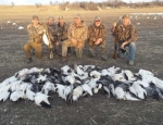 Guided snow goose hunting