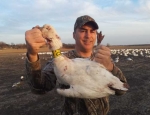 Snow Goose Hunt