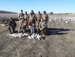 snow goose hunting