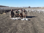 Snow Goose Hunting