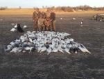 Missouri snow goose hunting