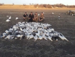 Missouri Snow Goose Hunting