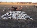 Missouri Snow Goose Hunting