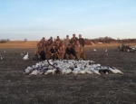 Missouri Snow Goose Hunting