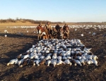 Missouri snow goose hunting