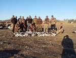 Snow Goose Hunting