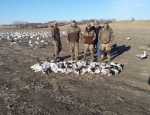 Guided Snow Goose Hunting