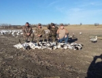 Guided Snow Goose Hunting