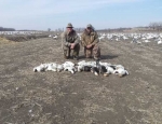 Snow Goose Hunting