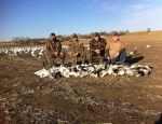 snow goose hunting