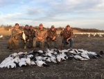 snow goose hunting Missouri