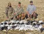 snow goose hunting Missouri