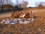 Spring Snow Goose Hunting