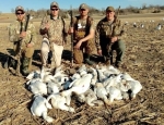 snow goose hunt