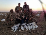 snow goose hunting