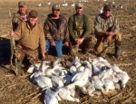 Missouri snow goose hunting