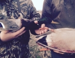 duck hunting trip