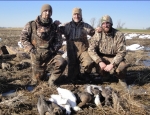 spring snow goose hunting