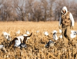 spring snow goose hunt