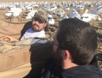 snow goose hunting