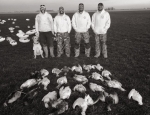 snow goose hunt