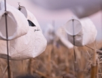 snow goose decoy