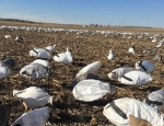 snow goose decoy