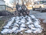 snow goose hunting